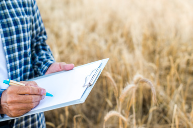 Agricultural Decision