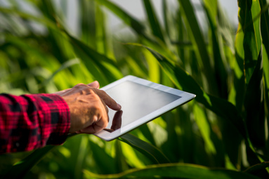 Agricultural Information